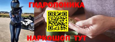 стаф Гай