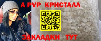 крисы Гатчина