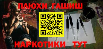 крисы Гатчина