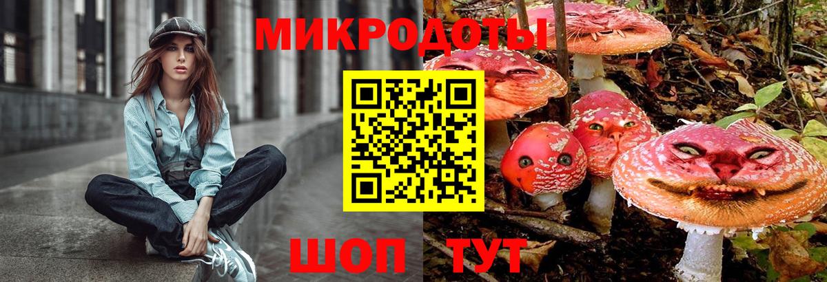 Галлюциногенные грибы Psilocybine cubensis  Вход с VPN  Галлюциногенные грибы ЛСД  Ивантеевка 